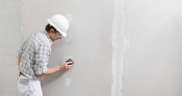 Carrier Mills, IL Drywall & Painting Services Company